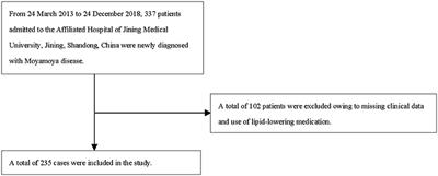 The relationship between hemoglobin and triglycerides in moyamoya disease: A cross-sectional study